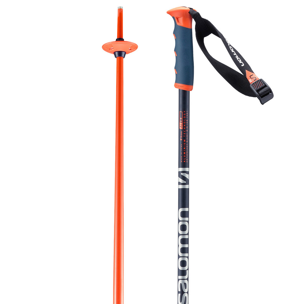 salomon s3 pole